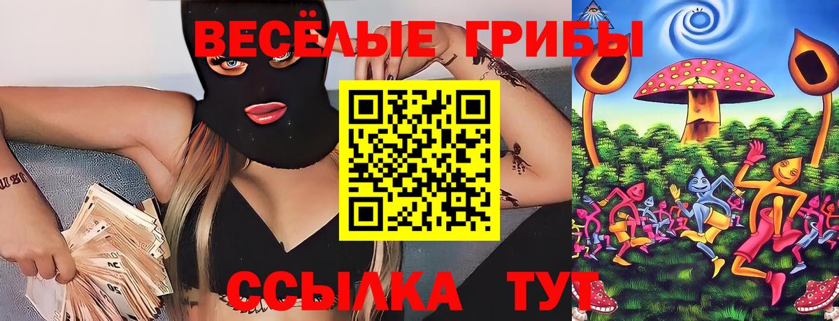 Галлюциногенные грибы Psilocybe Торжок